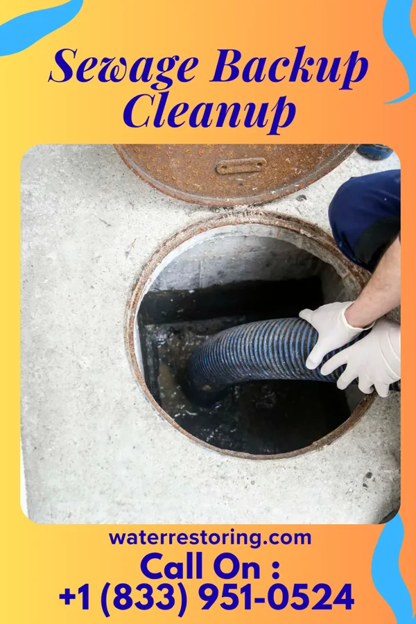 Sewage Backup Cleanup in Atlanta, GA