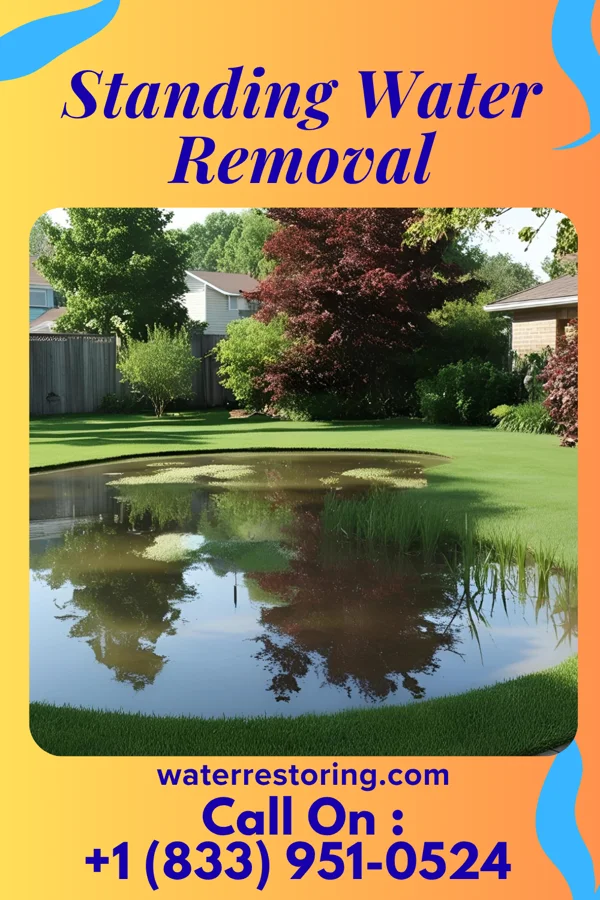 Standing Water Removal in Atlanta, GA